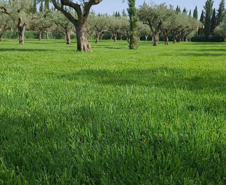 Village-Green-prato-Donnafugata-1